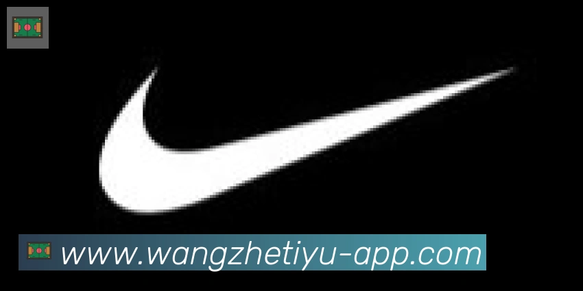 王者体育直播合作伙伴